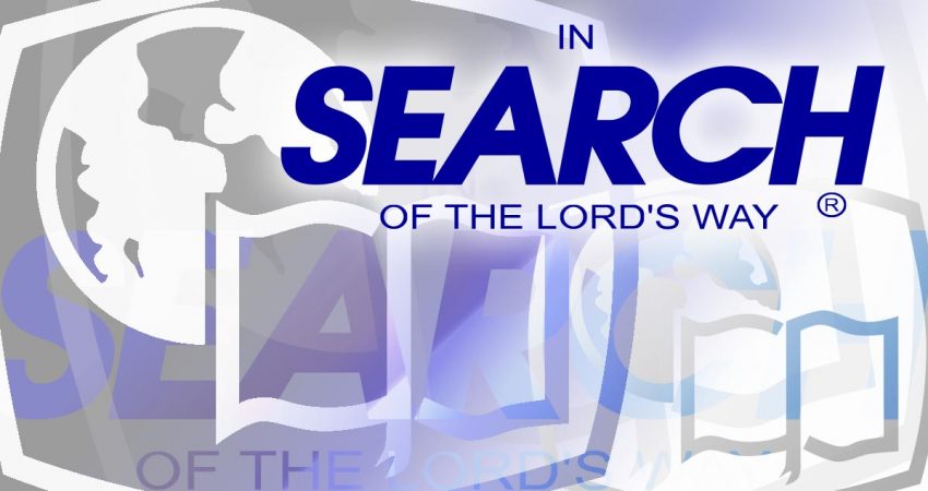 Search-Logo